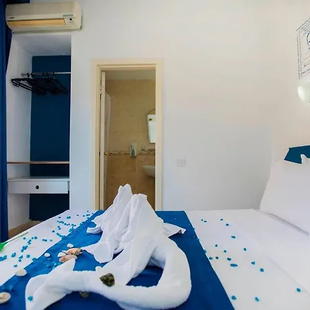 Barhan 3* Аланія